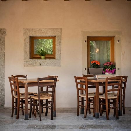 Agriturismo Il Bosco Camere 维托里奥·威尼托 外观 照片