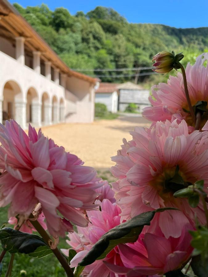 Agriturismo Il Bosco Camere 维托里奥·威尼托 外观 照片